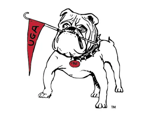 Link to Shop Vault Logo